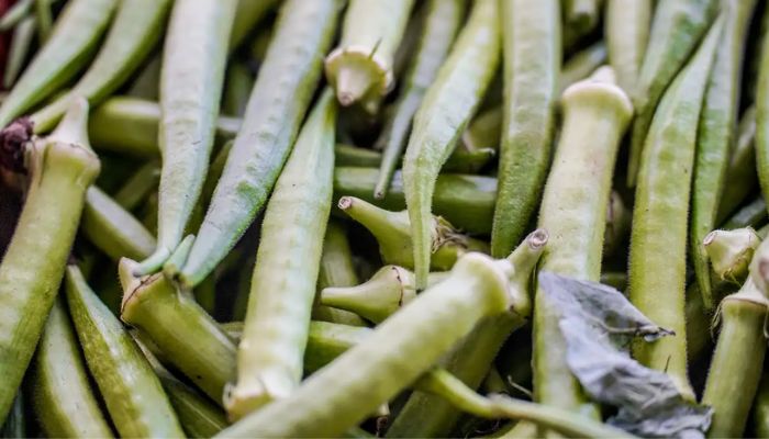 © Rafa Neddermeyer/Agência Brasil Garantia-Safra: veja lista dos que receberão pagamento em abril